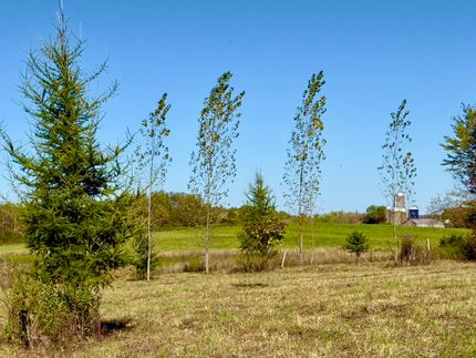 Land for sale in Madison County, New York