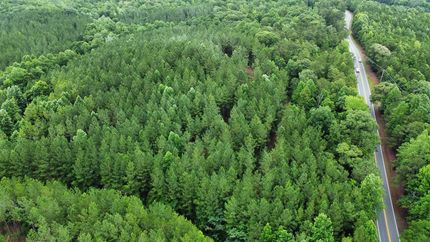 Undeveloped Land for sale in Tallapoosa County, Alabama