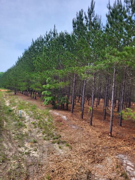 Farm and Ranch for sale in Kershaw County, South Carolina