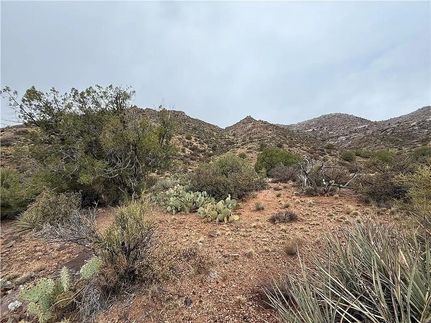 Undeveloped Land for sale in Mohave County, Arizona