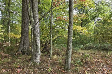 Recreational Property for sale in Marinette County, Wisconsin