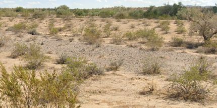 Undeveloped Land for sale in Mohave County, Arizona