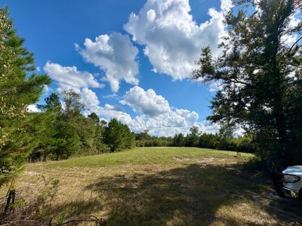 Land for sale in Mobile County, Alabama