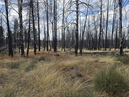 Undeveloped Land for sale in Klamath County, Oregon