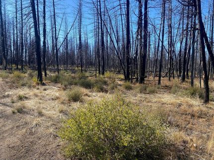 Undeveloped Land for sale in Klamath County, Oregon