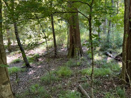 Farm and Ranch for sale in Tyler County, Texas