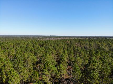 Land for sale in Telfair County, Georgia