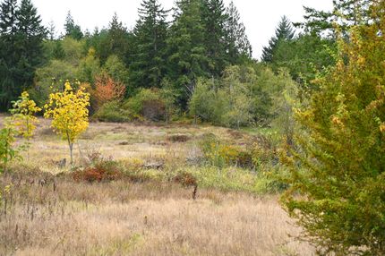 Land for sale in Lewis County, Washington