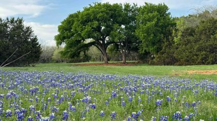 Recreational Property for sale in Coryell County, Texas