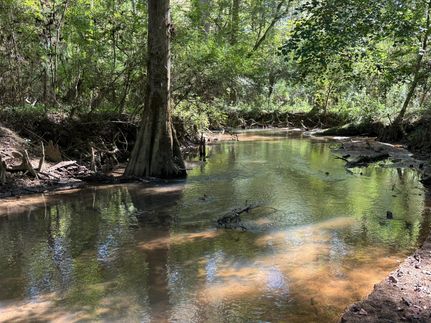 Farm and Ranch for sale in Houston County, Alabama