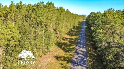 Undeveloped Land for sale in McIntosh County, Georgia