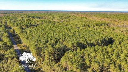 Undeveloped Land for sale in McIntosh County, Georgia
