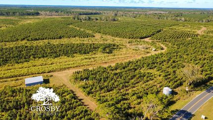 Timberland Property for sale in Tattnall County, Georgia