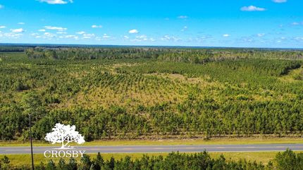 Timberland Property for sale in Tattnall County, Georgia