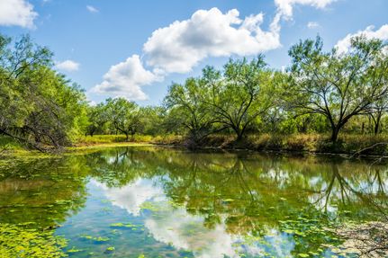 Land for sale in Starr County, Texas