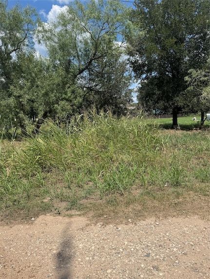 Undeveloped Land for sale in Bastrop County, Texas
