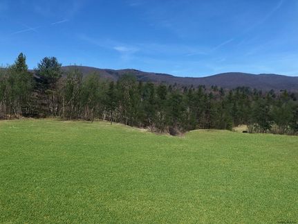 Undeveloped Land for sale in Rensselaer County, New York