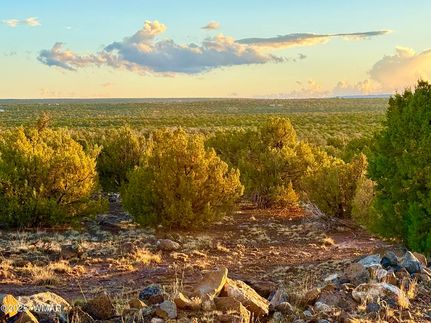 Undeveloped Land for sale in Navajo County, Arizona