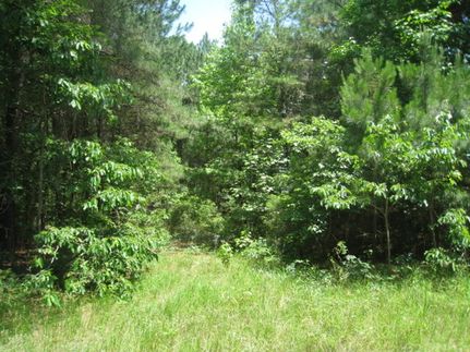 Recreational Property for sale in Cass County, Texas