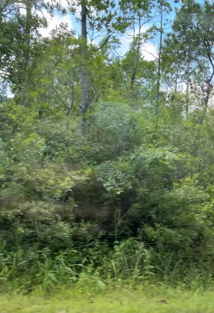 Land for sale in Brunswick County, North Carolina