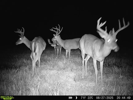 Recreational Property for sale in Independence County, Arkansas