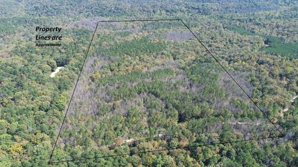 Timberland Property for sale in Lawrence County, Alabama