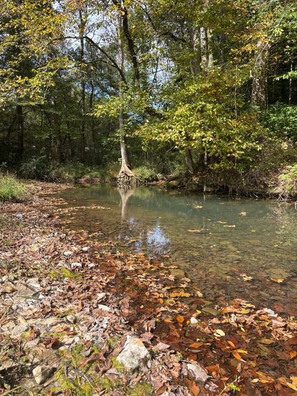 Homesite for sale in Bledsoe County, Tennessee