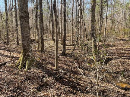 Land for sale in Chambers County, Alabama