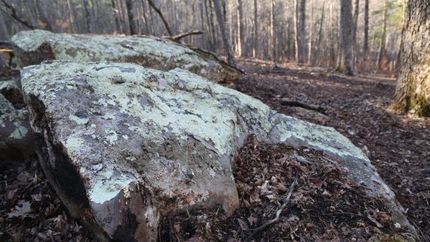 Recreational Property in Stone County, Arkansas