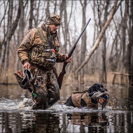 Timberland Property in Pope County, Arkansas