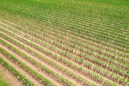 Commercial Property in Craighead County, Arkansas