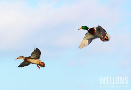 Recreational Property in Monroe County, Arkansas