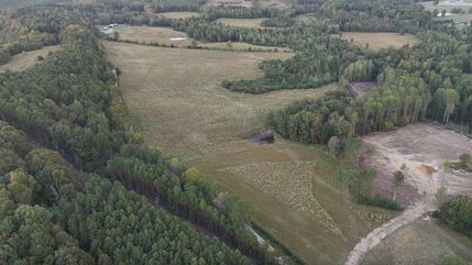 Undeveloped Land for sale in Winston County, Alabama