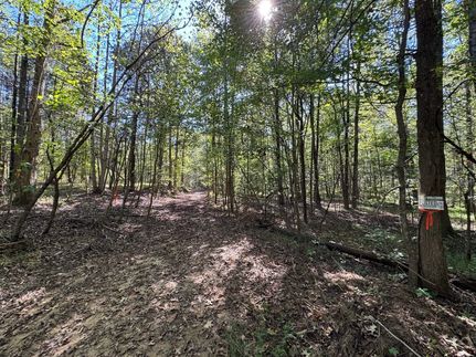 Timberland Property in Ohio County, Kentucky