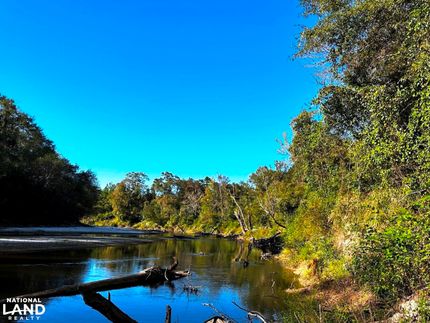 Riverfront Property for sale in Perry County, Mississippi