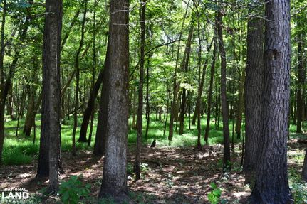 Recreational Property in Macon County, Alabama