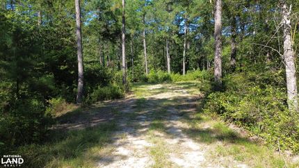 Land for sale in Colleton County, South Carolina