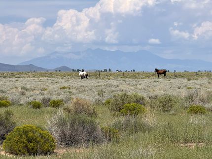 Recreational Property for sale in Costilla County, Colorado