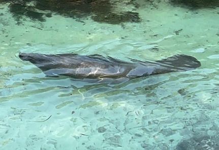 Farm and Ranch for sale in Hernando County, Florida