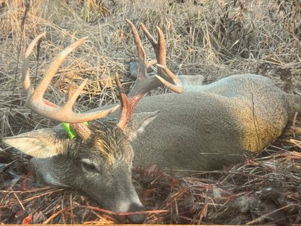 Timberland Property in Gladwin County, Michigan