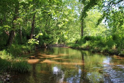 Farm and Ranch for sale in Frederick County, Virginia