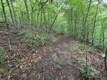 Farm and Ranch for sale in Campbell County, Tennessee