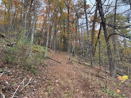 Land for sale in Bradford County, Pennsylvania