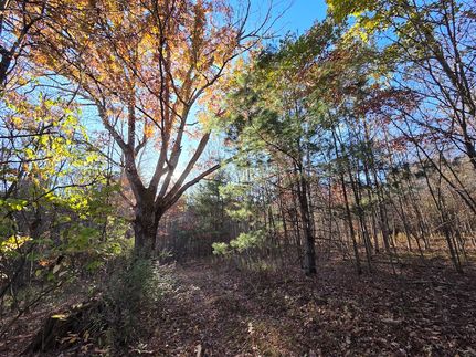 Land for sale in Chemung County, New York