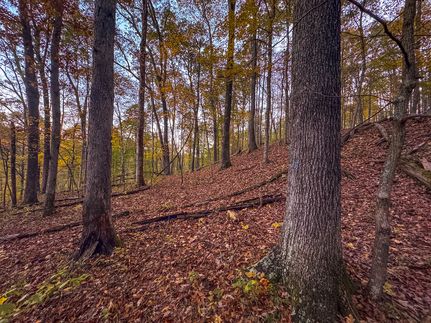 Land for sale in Wirt County, West Virginia