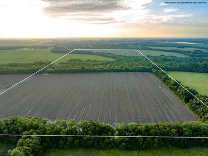 Land for sale in Noxubee County, Mississippi