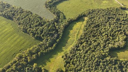 Undeveloped Land for sale in Butler County, Kentucky
