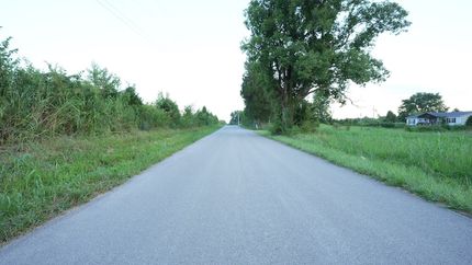 Undeveloped Land in Butler County, Kentucky
