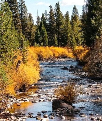 Land in Boise County, Idaho