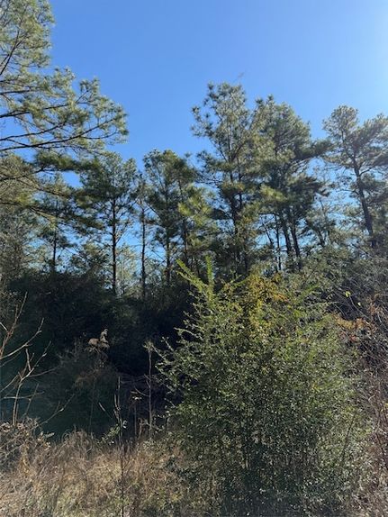 Land for sale in Harris County, Texas